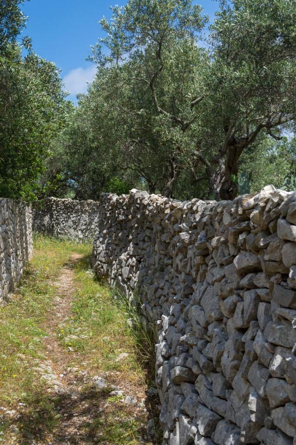 Villa Elaia Suites & Apartments No.3 Gaios Dış mekan fotoğraf