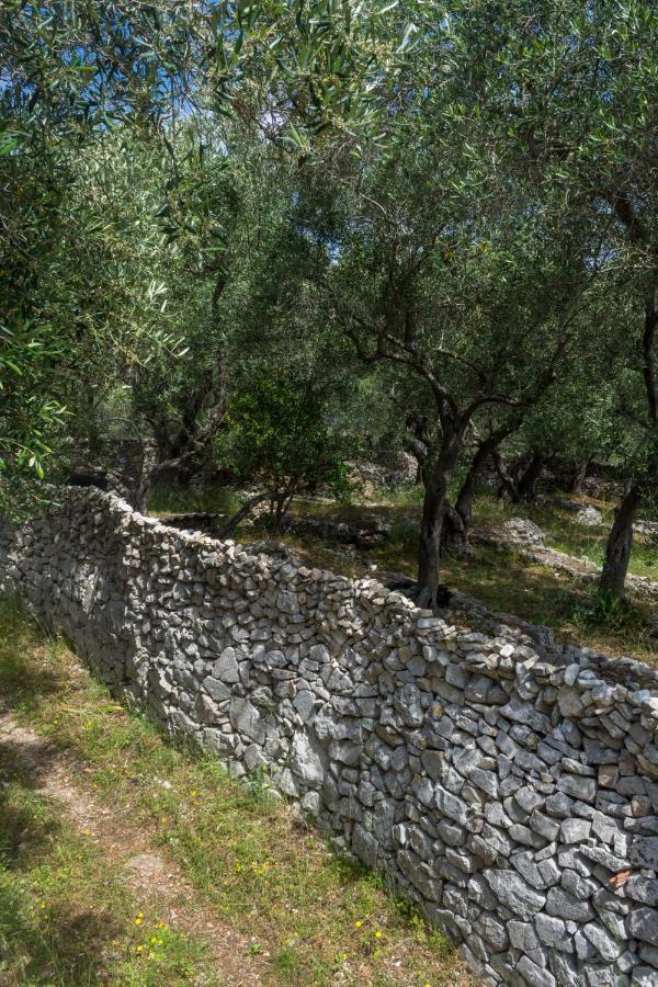 Villa Elaia Suites & Apartments No.3 Gaios Dış mekan fotoğraf