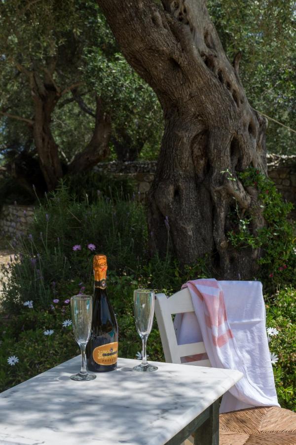 Villa Elaia Suites & Apartments No.3 Gaios Dış mekan fotoğraf