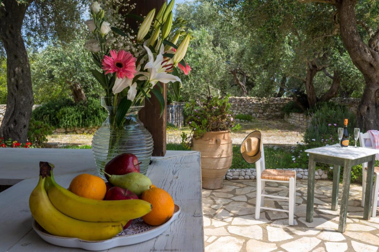 Villa Elaia Suites & Apartments No.3 Gaios Dış mekan fotoğraf